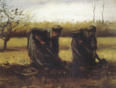 Vincent Van Gogh Two Peasant Women Digging Potatos (nn04) Spain oil painting art